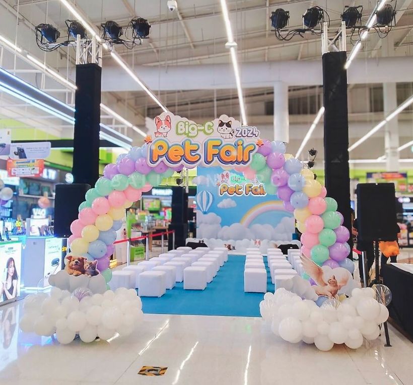 ฉากถ่ายรูป — ผลงาน BalloonCircle